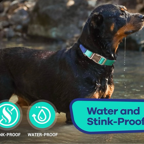 New Martingale Dog Collar-Waterproof, No-Pull-Blue & Turquoise,Gold Chain-Medium - Picture 3 of 4